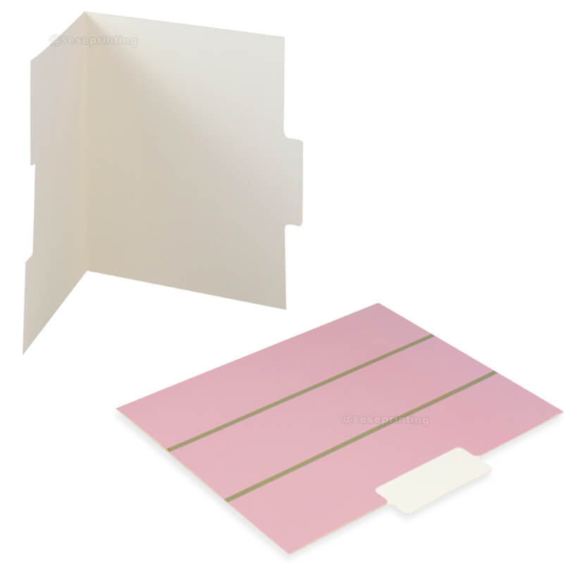 Presentation Folder Printing File Folders Letter Size 1/3-Cut Tabs