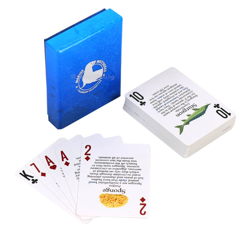 Custom Education Flashcards Printed Both Sides Poker Card Game