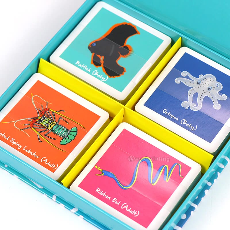 Custom Printing Kids Children Memory Educational Flashcards